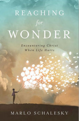 Reaching for Wonder - Marlo Schalesky